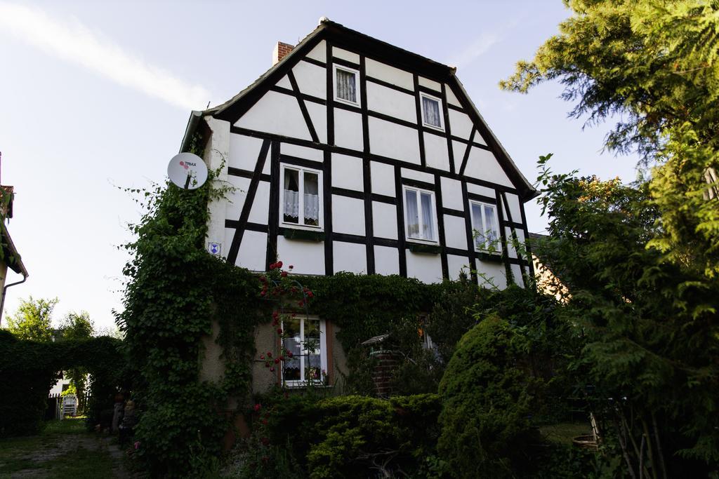 Pension Altstadt Borna Exterior foto