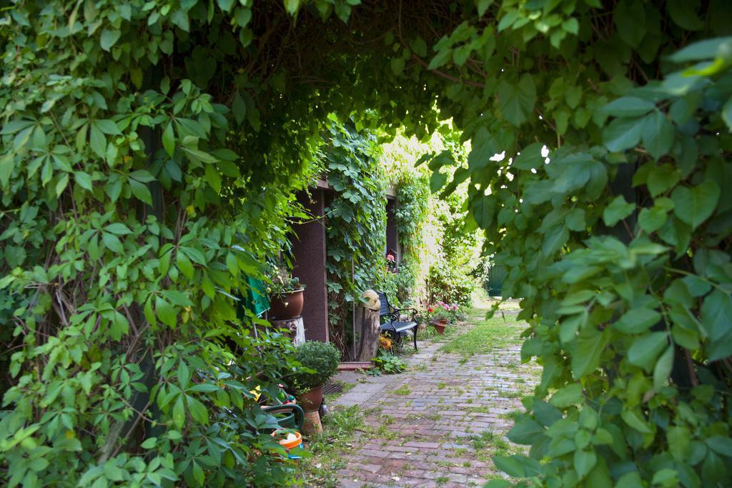 Pension Altstadt Borna Exterior foto
