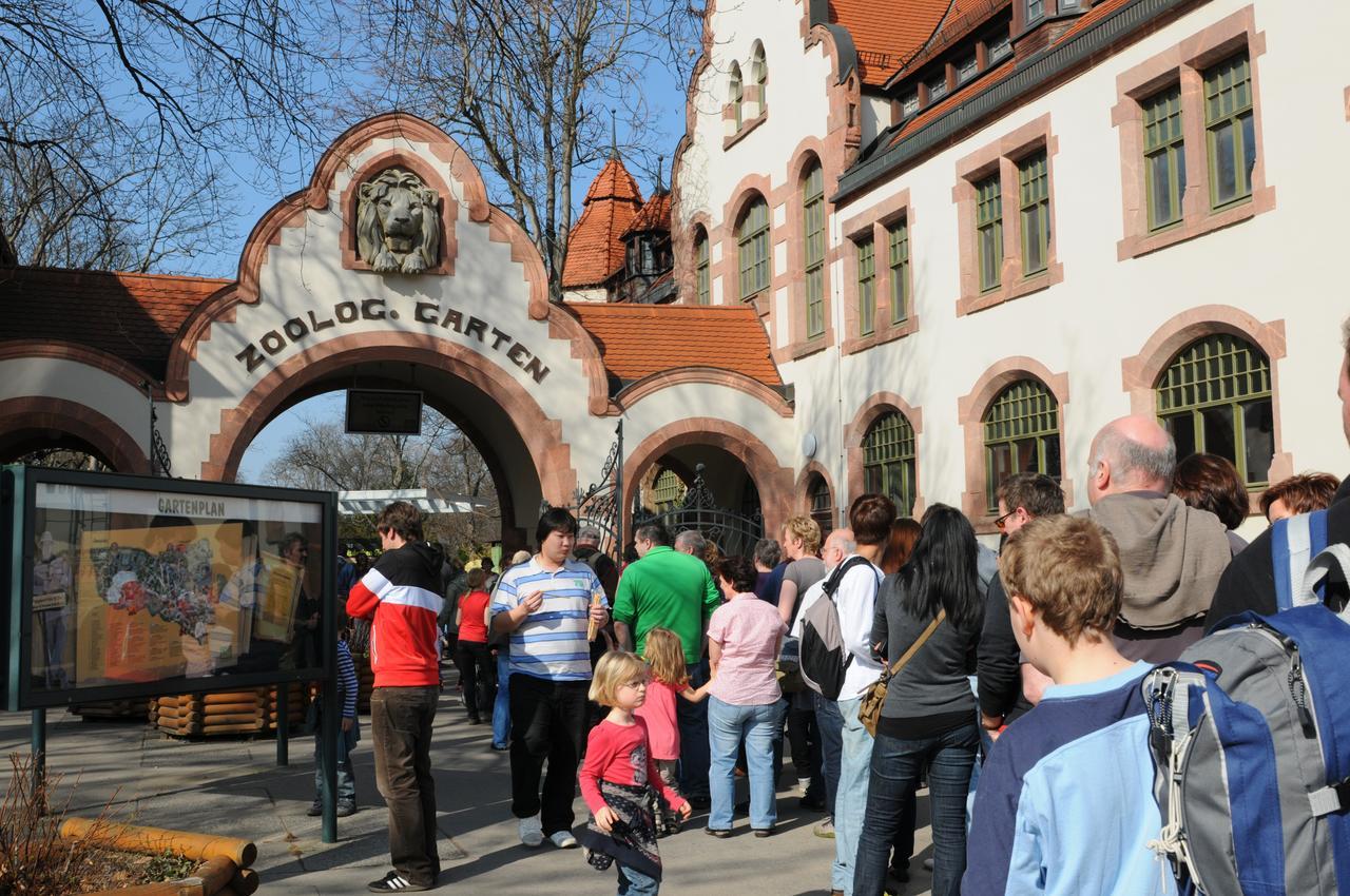 Pension Altstadt Borna Exterior foto
